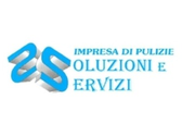 Logo Soluzioni E Servizi di Padovani Roberto